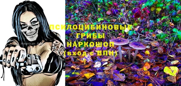 эйфоретик Ладушкин