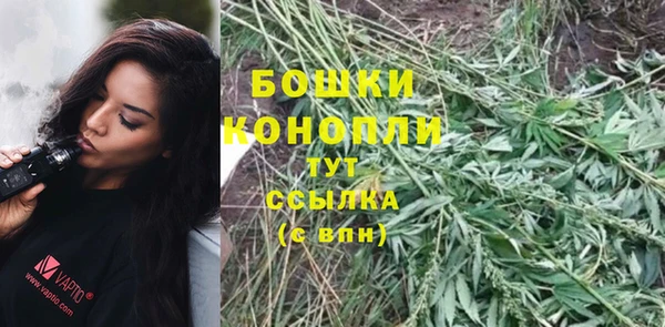 стафф Лабытнанги
