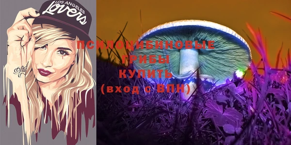 эйфоретик Ладушкин