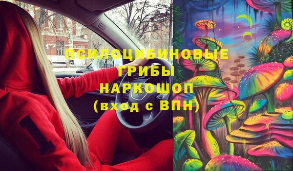 эйфоретик Ладушкин