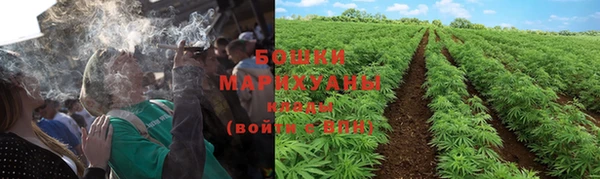 эйфоретик Ладушкин