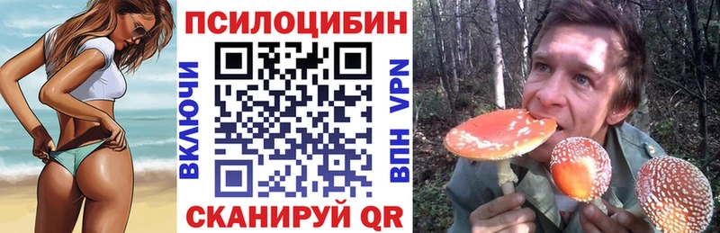 Купить где  Бакал  Псилоцибиновые грибы ЛСД 