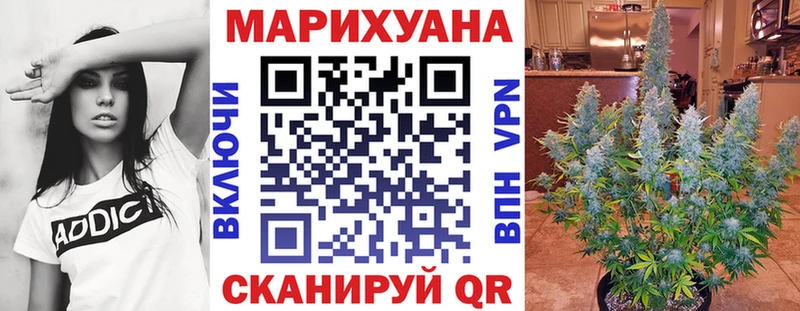 Марихуана сатива  Купить где  Бакал 